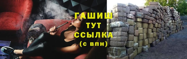 хмурый Абаза