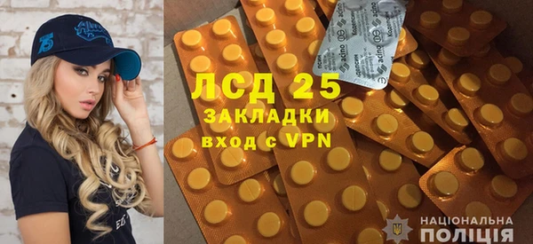 хмурый Абаза