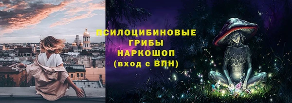 хмурый Абаза