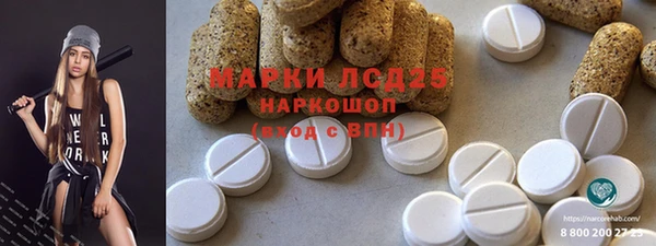 хмурый Абаза