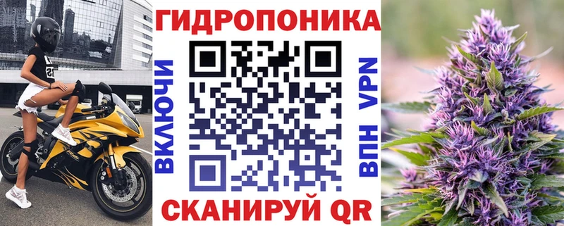 hydra вход  где купить наркоту  Алагир  Бошки Шишки марихуана 
